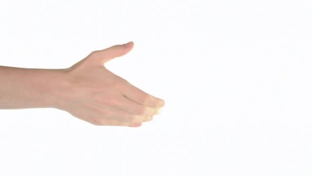 Пропонуючи рукостискання на білому тлі — стокове відео