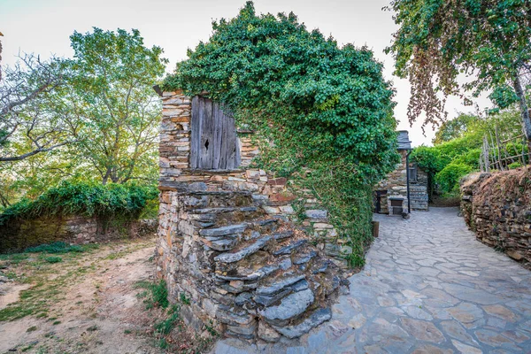 Antique vintage house with ivy and staircase — Stock Photo, Image