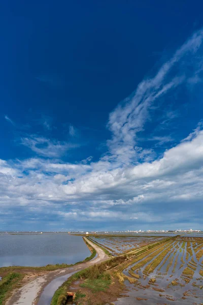 Campos de arroz inundados y carretera en Albufera, Valencia — Foto de Stock