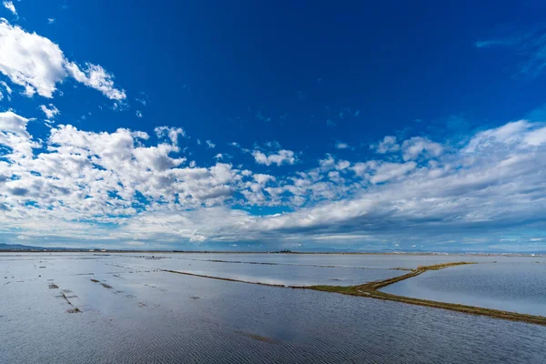 西班牙巴伦西亚Albufera的水淹稻田 — 图库照片