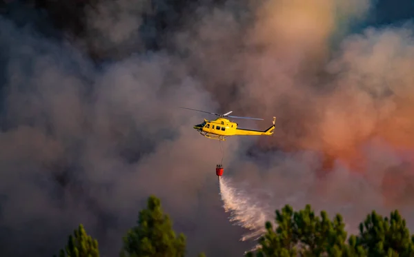 Helikopter ateşe bir kova su atıyor. — Stok fotoğraf