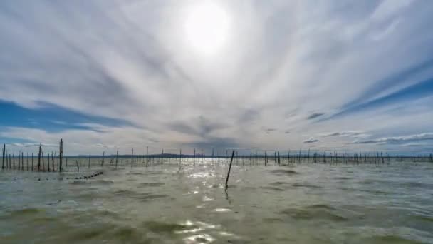 Fiskespön och nät i Albufera time-lapse — Stockvideo