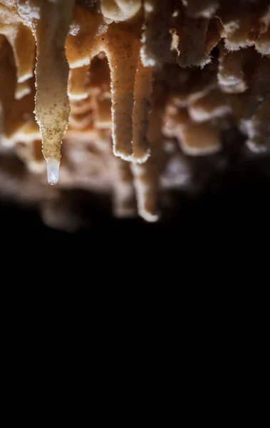 Formazione di stalattiti con goccia d'acqua nella grotta — Foto Stock