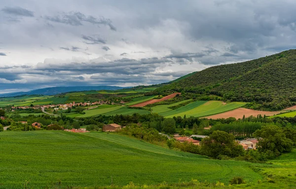 Spektakularne pola w czasie wiosennym w La Rioja — Zdjęcie stockowe