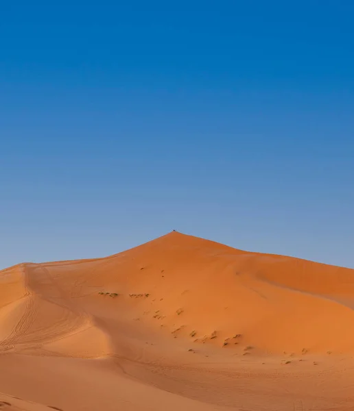 Groupe de personnes au sommet de la dune — Photo