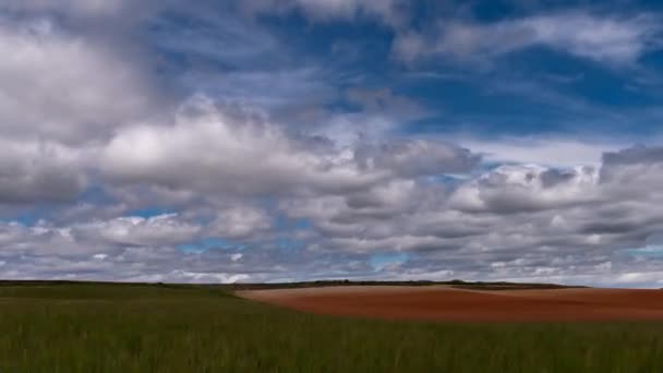 Tierras verdes y rojas cultivadas nublan lapso de tiempo — Vídeo de stock