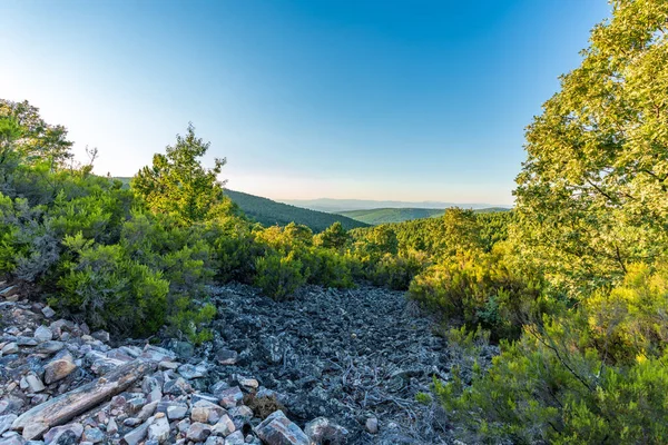 Steenachtig gebied in het wild onder heldere blauwe lucht — Stockfoto