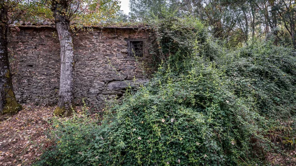 Oude vervallen verlaten watermolen bedekt met bramble — Stockfoto