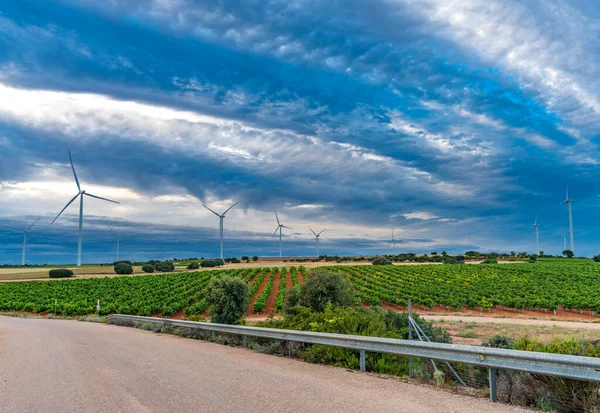 Strada, mulini a vento, vigneti e paesaggi nuvolosi al tramonto — Foto Stock