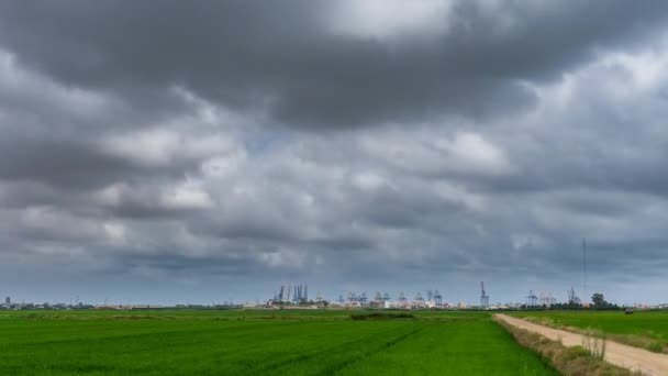 Campos de arroz verde, paisaje nublado y timelapse muelle comercial — Vídeos de Stock