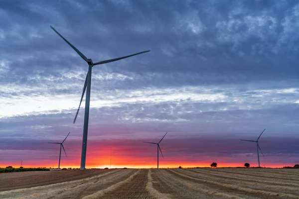 Modern windmills over cultivated fields at dusk — Stock Photo, Image
