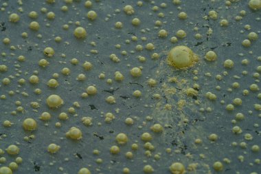 Very dirty water with bubbles closeup view