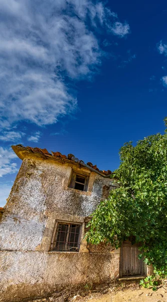 Afgezakt verlaten huis met boombedekkende gevel — Stockfoto