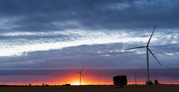 Modern windmills silhouettes over cultivated fields at orange dusk — Stock Photo, Image