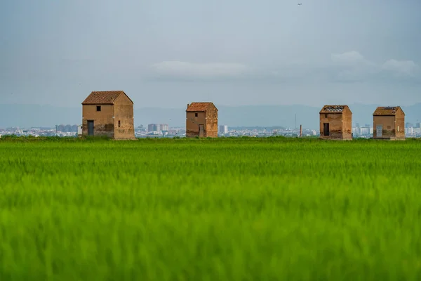 Casas de agricultores antigos e campos de arroz verde perto da cidade — Fotografia de Stock