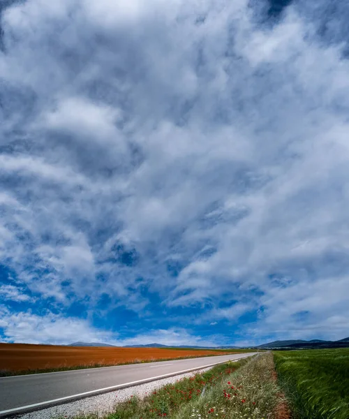Prosta droga w środku upraw pod chmurą — Zdjęcie stockowe