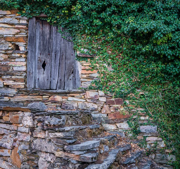 Facciata vintage e porta in legno ricoperta da edera — Foto Stock