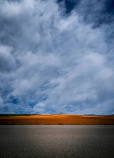 Isolated road and crops under cloudy sky — ストック写真