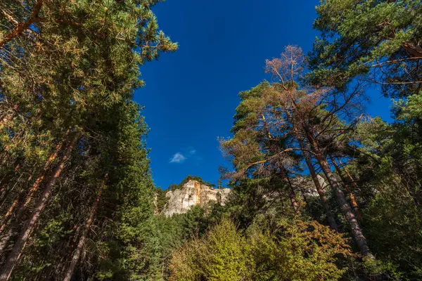 Сосновый лес, скалы и голубое небо для текста — стоковое фото