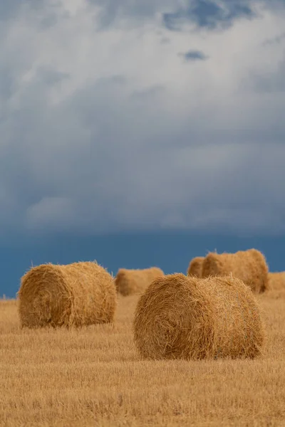 Balls of straw under the stormy sky — Stock Photo, Image