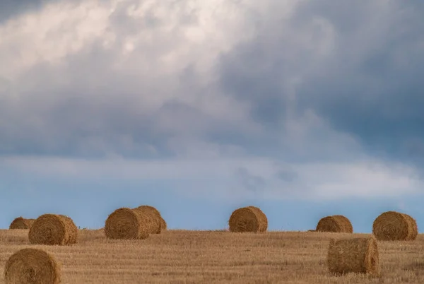 Balls of straw under the cloudy sky — Stock Photo, Image