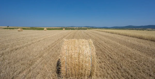 Bale jerami — Stok Foto