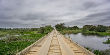 Transpantaneira Road with wooden bridge and car in Panantal clipart