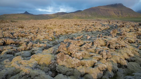 Nekonečná lávová pole na Islandu s horami — Stock fotografie