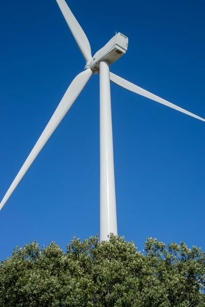 Wind turbines rear view in the countryside, blue sky — Stock Photo, Image