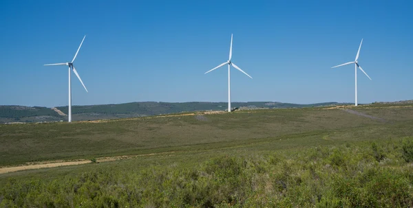 Wind turbines on top of hill in the countryside — Stock Photo, Image