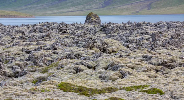 Detailní pohled na lávových polí Panorama na Islandu — Stock fotografie