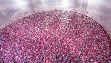 Alüminyum kap içinde şarap fermantasyon süreci