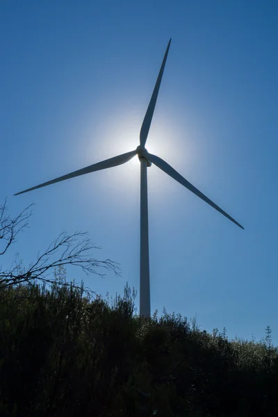 Backlit dari turbin angin dan semak-semak terhadap matahari dan langit biru — Stok Foto