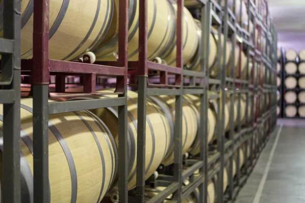 Zijaanzicht van de wijnkelder met vaten, grote matrix — Stockfoto