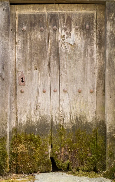 Toda la vieja puerta de madera con musgo y cerradura — Foto de Stock