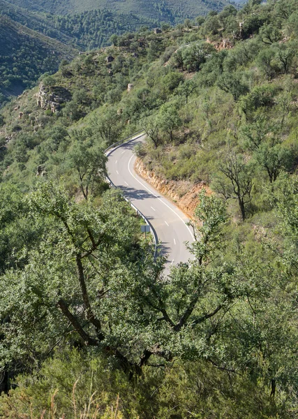 曲線の山の道の上から見る — ストック写真
