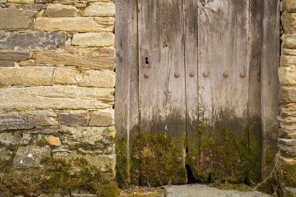 Vieille porte entière en bois avec mousse et serrure, mur solitaire — Photo