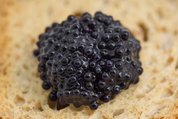 Macro of caviar over piece of toast — Stock Photo, Image