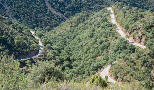 Top view of ascending mountain road with curves — Stock Photo, Image