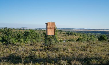 büyük oyun avcı, ahşap yapılmış için gizli kulübe