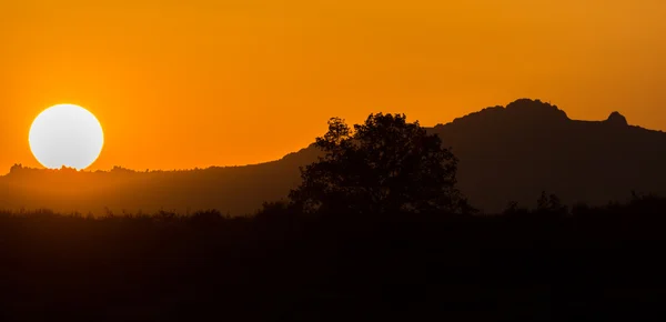 Solnedgång över berg med orange himmel och träd profil — Stockfoto