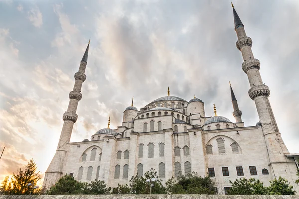 Modrá mešita, pohled zezadu, Istanbul, Turecko — Stock fotografie