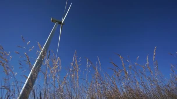 Rotating wind turbine and plants, focus on plants — Stock Video