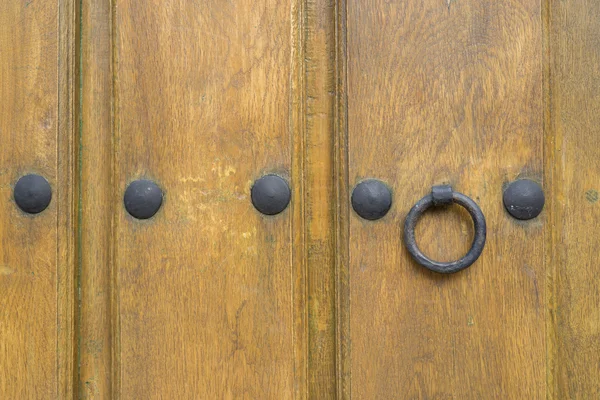 Old run-down brown painted wooden door and nails — Stock Photo, Image