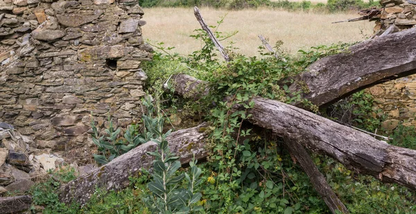 Ruined old stone house and wooden joists — Stock Photo, Image