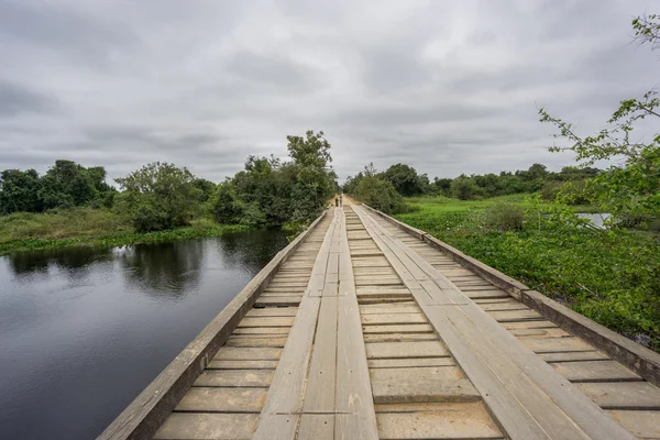 Transpantaneira Road with wooden bridge and car in Pantantal — Stock Photo, Image