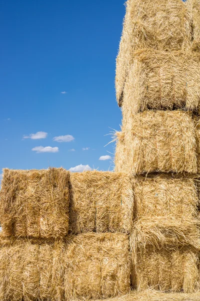 Balar hö, stapla under blå himmel — Stockfoto