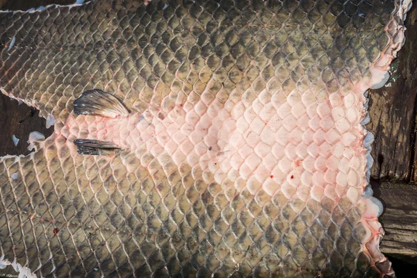 Arapaima Pirarucu skin over wooden table, top view, background — Stock Photo, Image