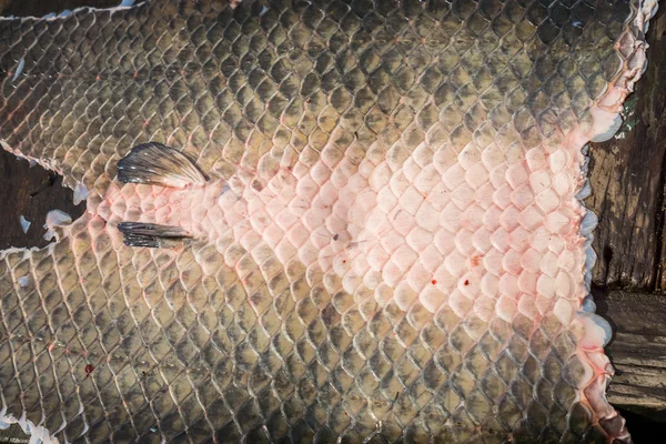 Arapaima Pirarucu pelle su tavolo di legno, vista dall'alto, sfondo — Foto Stock