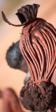 Himba kadın saç portre